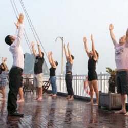 Bai Tu Long taichi
